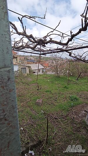 image_6