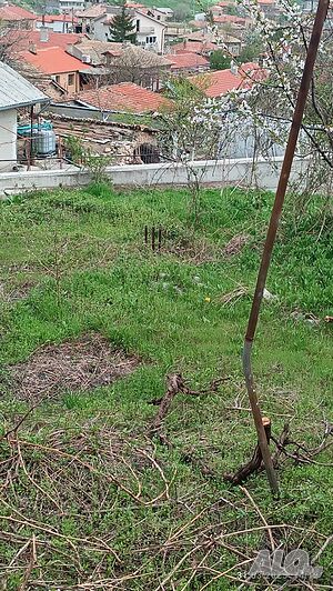 image_7