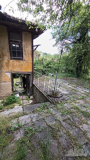 image_4
