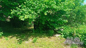 image_8