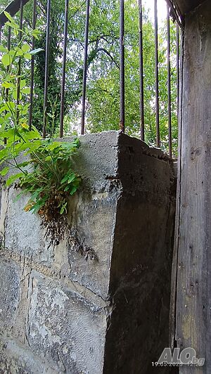 image_9