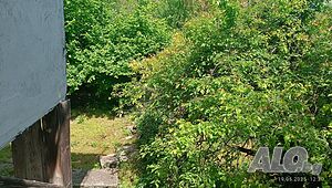 image_10