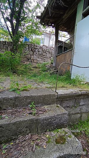 image_11