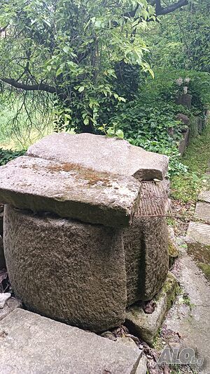 image_13