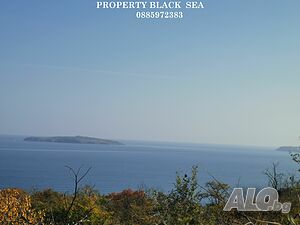 image_3