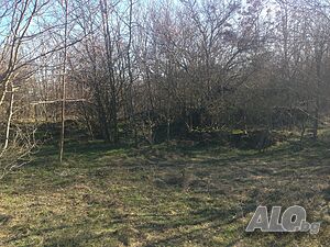 image_11