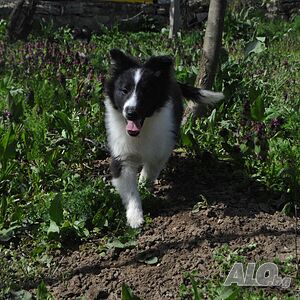 image_2