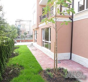 image_5