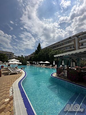 Grand kamelia camelia гранд камелия младость