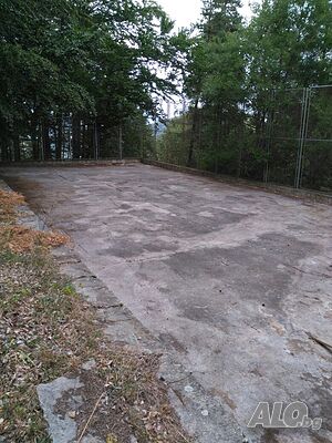 image_9