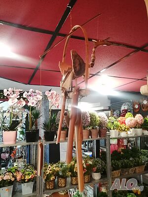 image_2