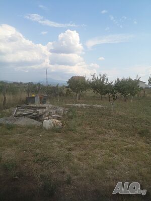 image_8