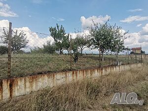 image_11