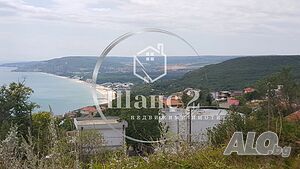 image_6