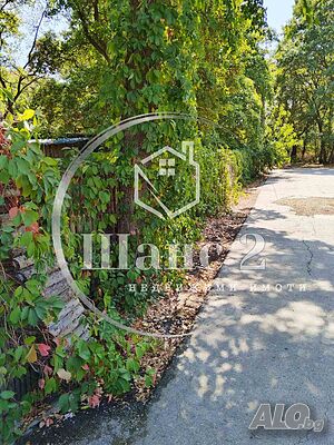 image_7