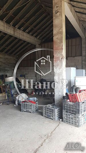 image_5