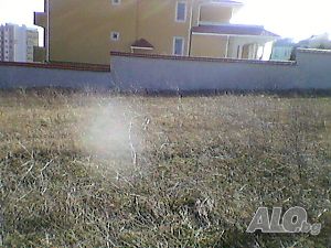 image_12