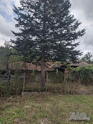 image_2