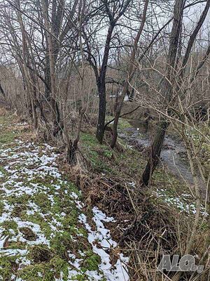 image_14
