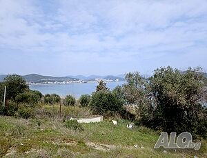 image_9
