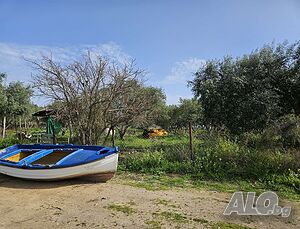 image_11