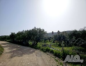 image_12