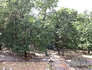 image_11