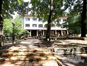 image_3