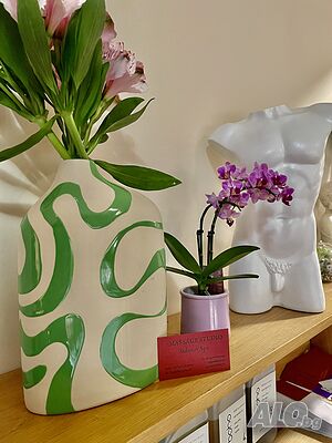 image_8