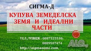 100 дка в Стожер