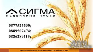 34 дка в Клисурица, обл. Монтана