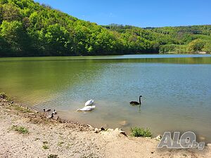 image_23
