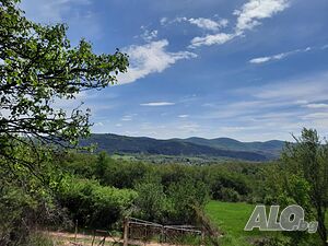 image_11