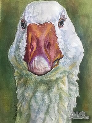 Красива гъска