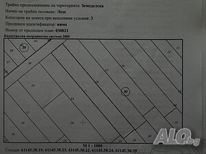 Земеделска земя - лозе 400кв. м