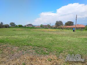 image_5
