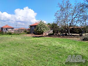 image_8