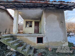 image_5
