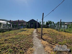 image_7