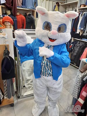 image_6
