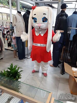 image_7