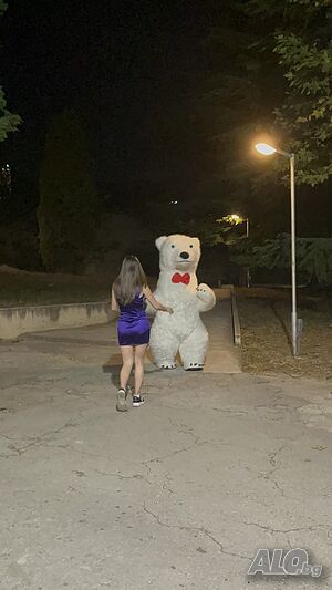 image_4