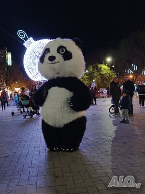 image_8