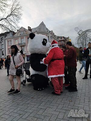 image_4