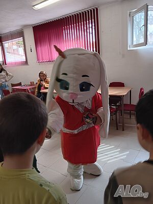 image_11