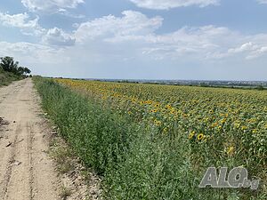 image_5
