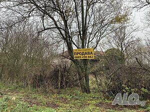 image_9