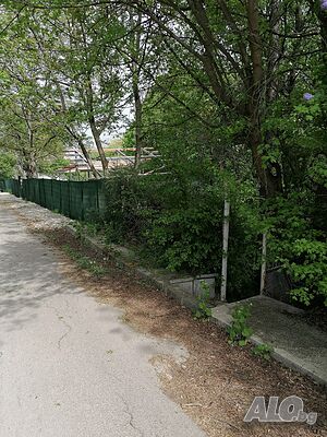 image_5