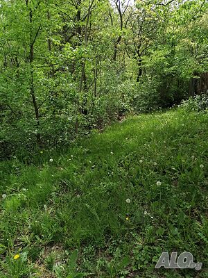 image_13