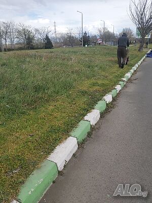 image_11